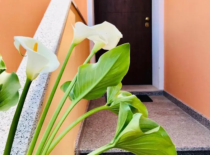 Le Di Loris * SantʼAntìoco