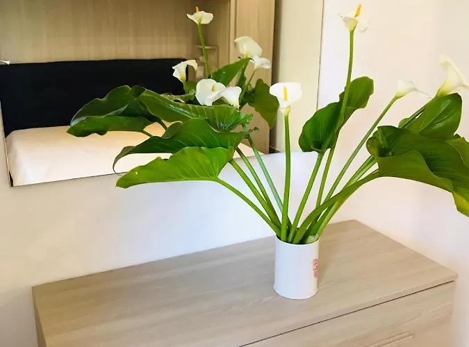 Le Di Loris * Sant'Antioco