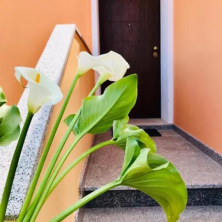 Le Di Loris * Sant'Antìoco